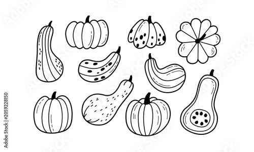 Autumn pumpkin and squash line art vector illustration set minimalist black and white thanksgiving harvest clipart elements for logo design