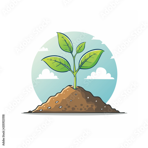 Young plant growing in soil with green leaves and blue sky