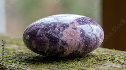 Polished Purple Lepidolite Gemstone Resting on a Weathered Mossy Wooden Surface Captured in Natural Light