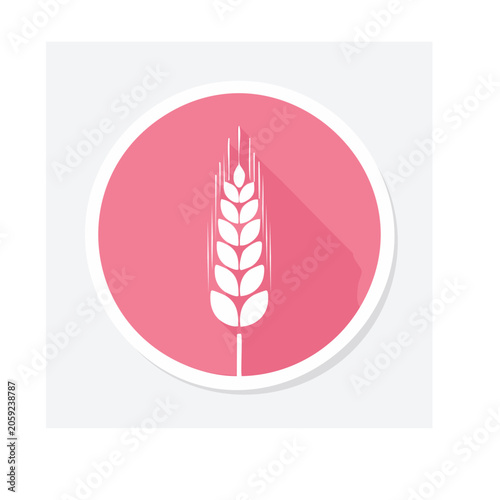 Pink wheat icon on solid background