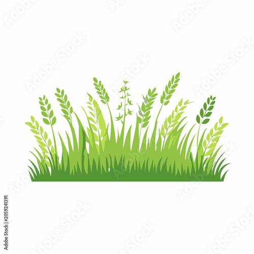 Green Grass and Wheat Field Illustration
