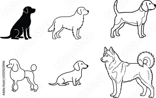 Different dog breeds line art illustration set including husky retriever beagle poodle and dachshund vectors