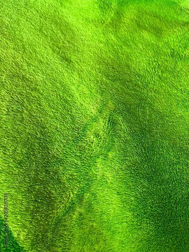 Fotografie Close-up Full Frame Texture of Vibrant Neon Green Soft Fabric Material