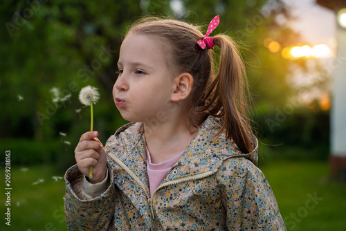 Cute little girl blowing dandelion flower outdoors at sunset 