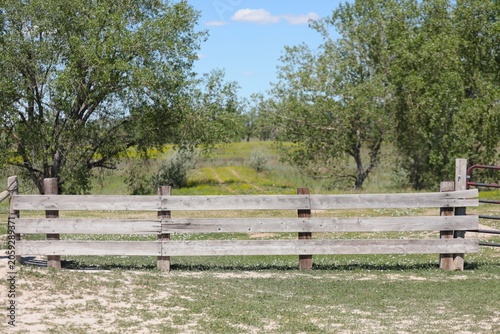 Faded Ruts Behind an Old Wooden Fence