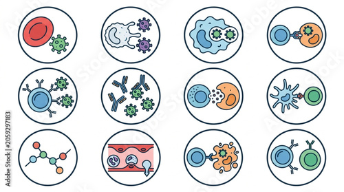 Canvastavla Immune System Cells and Molecules Illustration.