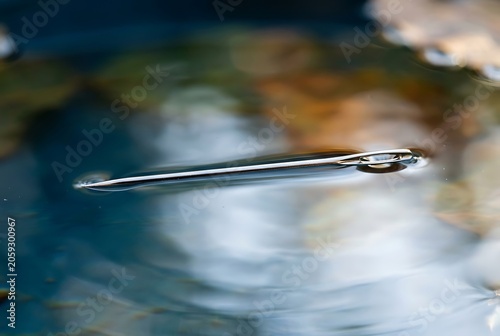 Sewing needle floating on water surface demonstrating surface tension