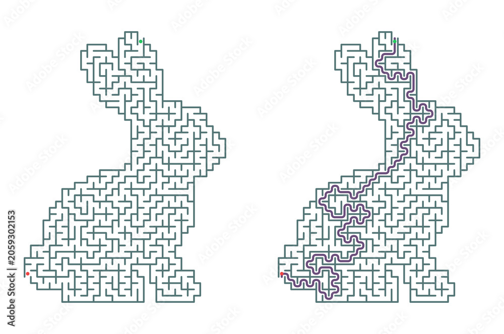 Obraz premium Rabbit maze illustration with path traced in a playful design 