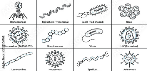 Bild auf Leinwand Microbiology Virus and Bacteria Shape Icon Set with Coronavirus, Bacteriophage,