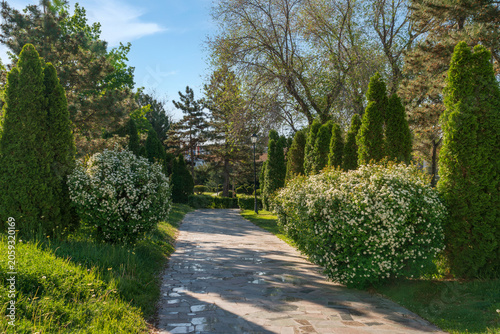The alley in the park area on the territory of the Astrakhan Kremlin on a sunny spring day, Astrakhan, Russia