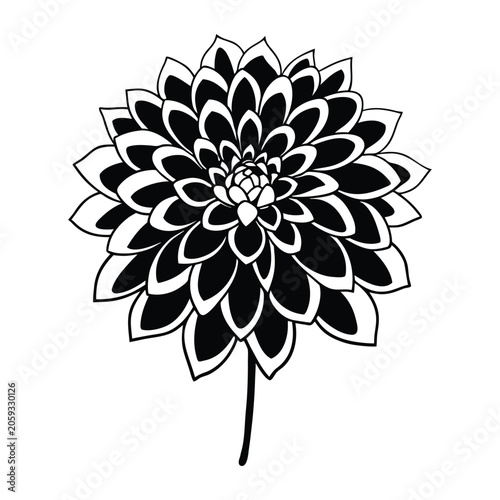 Elegant black dahlia flower silhouette vector illustration with detailed petals isolated on white background