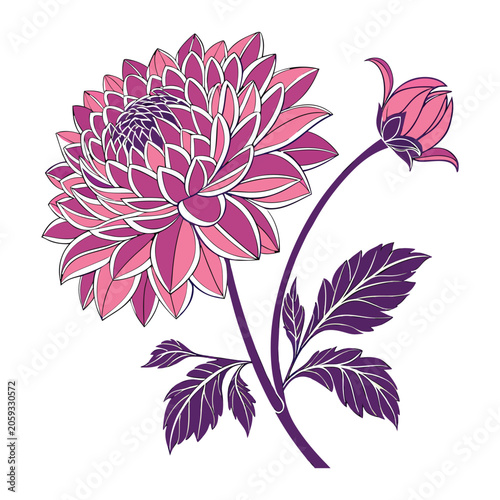 Elegant blooming dahlia flower vector illustration with detailed petals and realistic botanical design for nature themed projects