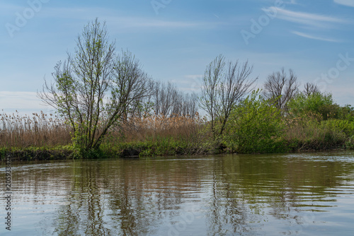 Obraz na plátně Flooded banks in the Volga River Delta in the Damchik section of the Astrakhan B