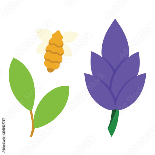 set of green leaves