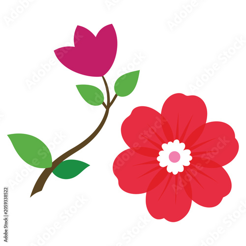 red rose isolated on white background