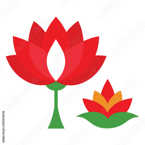 vector illustration of a red flower