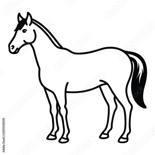 vector illustration of a horse