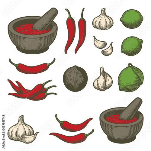 Vector illustration of cooking spice ingredients with mortar chili garlic and onions.