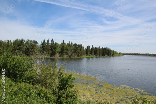 lake in the forest