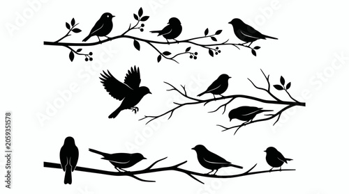 Black bird silhouettes perched on tree branches vector illustration