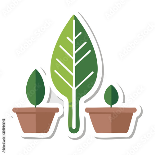Flat design illustration of potted plants and leaf