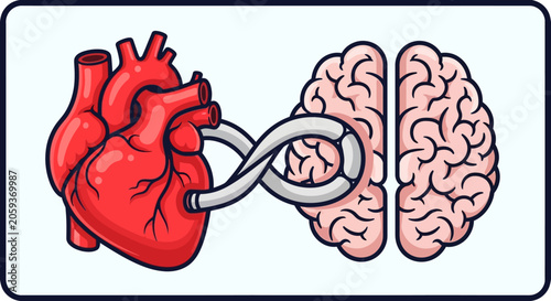 Anatomical heart and brain connected by infinite loop tube.