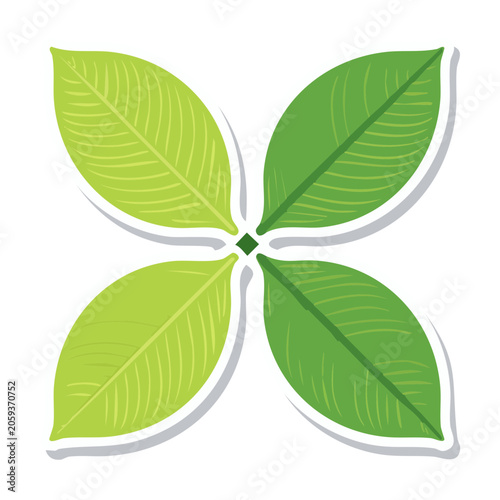 Four Leaf Clover Illustration on Transparent Background