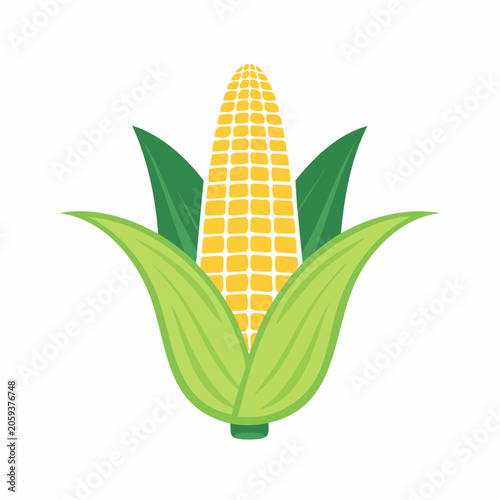 Illustration of a Corn Cob with Green Leaves
