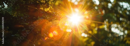 Sunburst Through Foliage: A brilliant sunburst radiates light and warmth as it shines through lush green foliage, creating a dazzling display of light flares and bokeh effects.