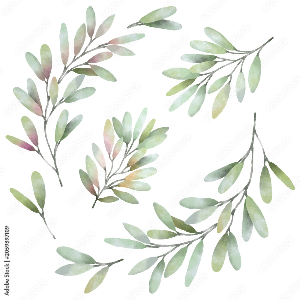 Fototapeta premium Watercolor Botanical Leaf Branch Collection Isolated on Transparent Background