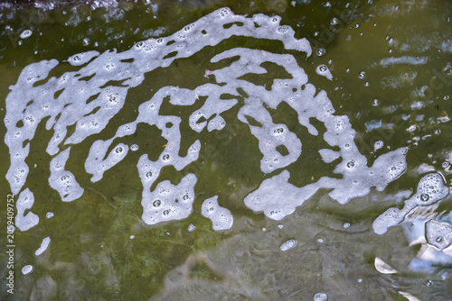 Fotografi Abstract patterns of white foam and bubbles floating on murky green water surfac