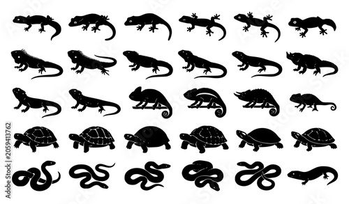 Pet Reptiles Silhouette Pack with Snakes Lizards and Tortoises Vector Collection