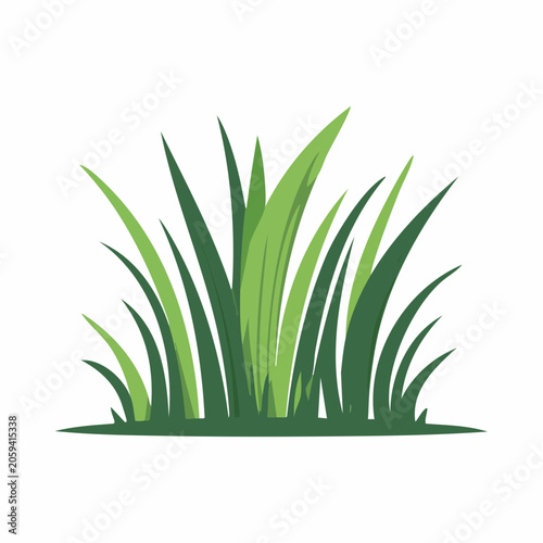 Illustration of green grass blades