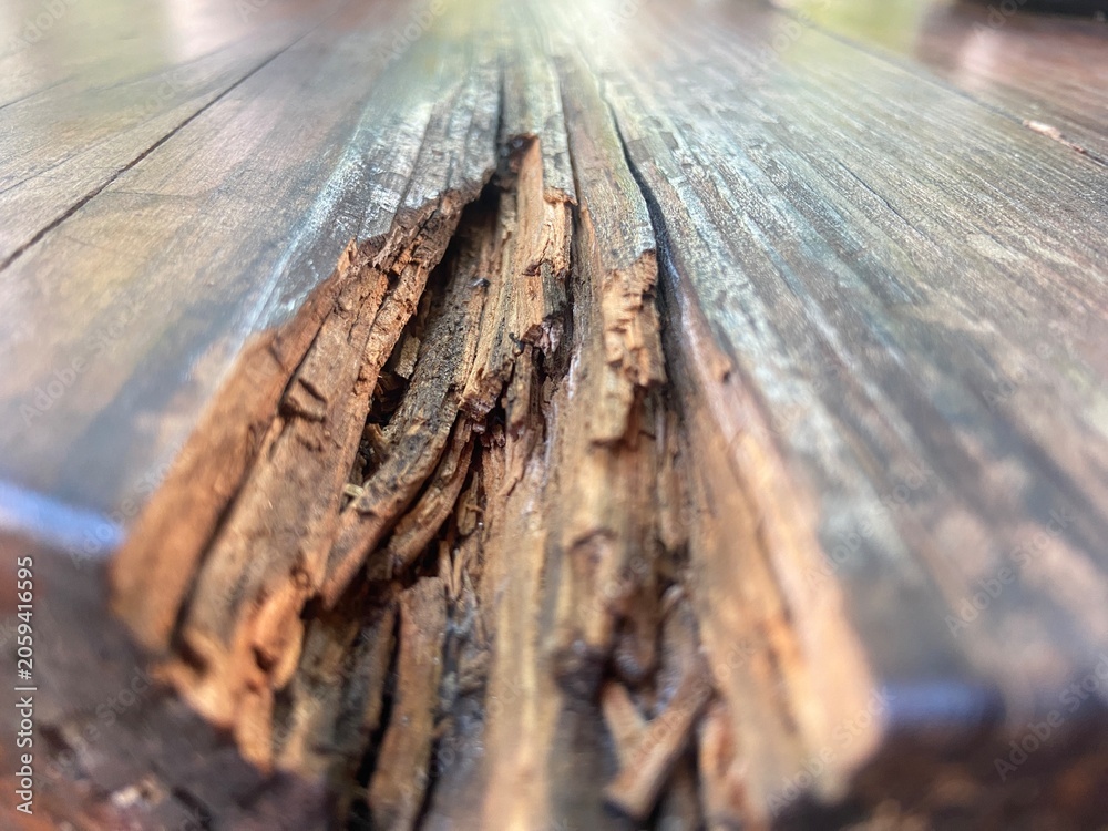 Fototapeta premium Rotten Wood grain with Splintered Details