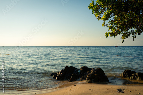 Serene beach scene with calm ocean waves, rocky shore, and tropical tree branch framing the view