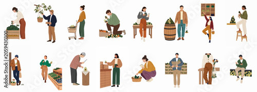 Flat illustration collection of diverse people picking, selling, and buying fresh avocados in various market and farm settings on a white background.