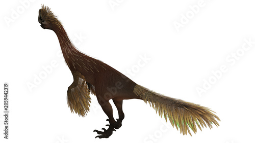 Fényképezés Feathered dinosaur with a long tail and crest.