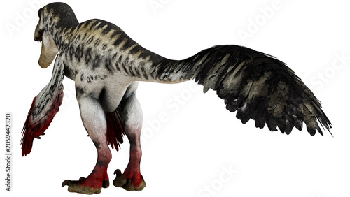 Konstfotografi Feathered dinosaur with vibrant red and black plumage.