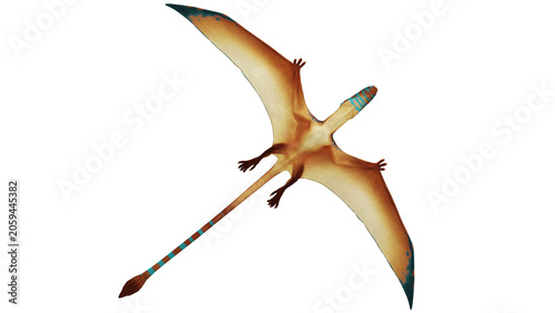 Illustration of a prehistoric flying reptile.