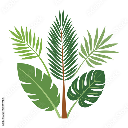Tropical leaves flat illustration