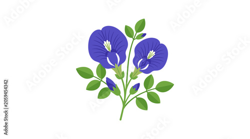 Foto Vibrant Blue Butterfly Pea Flowers with Green Leaves on White Background