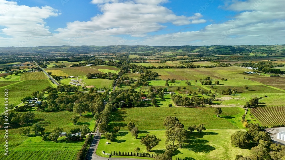 Fototapeta premium McLaren Vale, South Australia – 4K aerial drone view of residential estates, modern homes, suburban streets, established neighbourhoods, tree-lined avenues and scenic wine country landscapes.