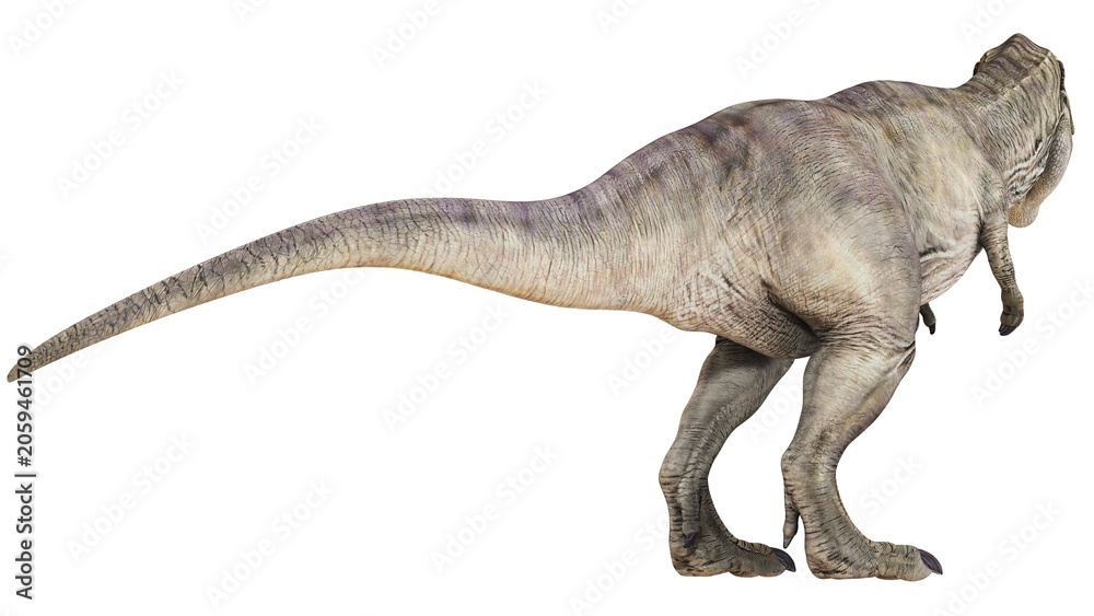 Fototapeta premium Realistic dinosaur rendering on white background.