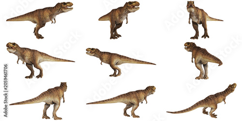 Fotografie Tyrannosaurus rex in various dynamic poses.