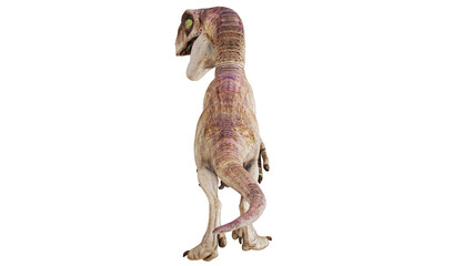Realistic dinosaur figure against a white backdrop