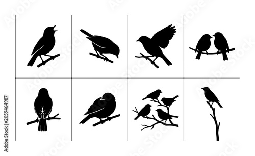 Photography Diverse Bird Silhouettes Collection, Vector Art Set: Perching, Flying, and Group