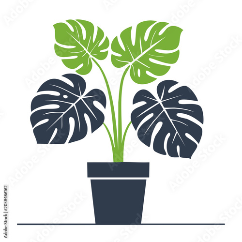 Flat Design Monstera Plant in Pot