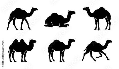 Bild auf Leinwand Camel Silhouettes Collection, Six Diverse Poses, Desert Wildlife Vector Icons, A