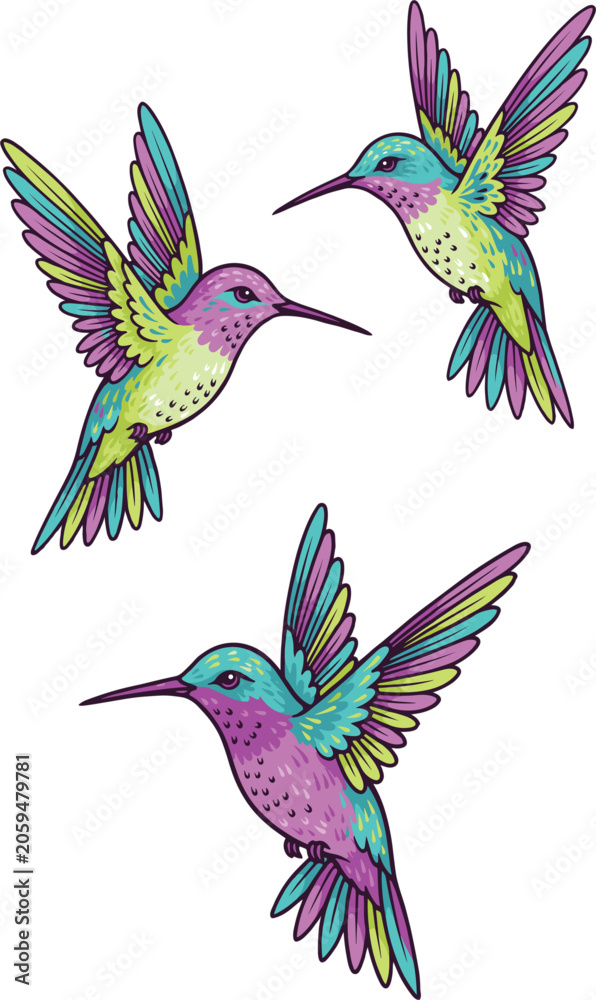 Fototapeta premium Beautiful colorful hummingbird vector illustration set, flying colibri birds sketch collection for tropical tattoo design