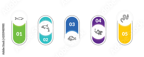 Photography outline animals icons set - sea cow, grampus, gold fish, cottonmouth